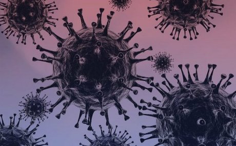 Dianaholiday プロフィール写真