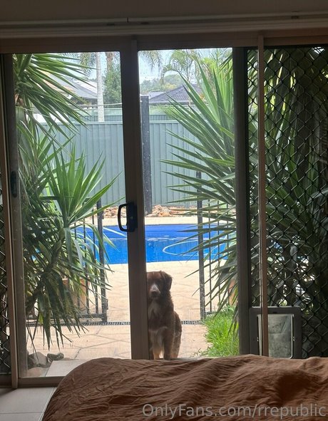 rrepublic ポルノスター ギャラリー