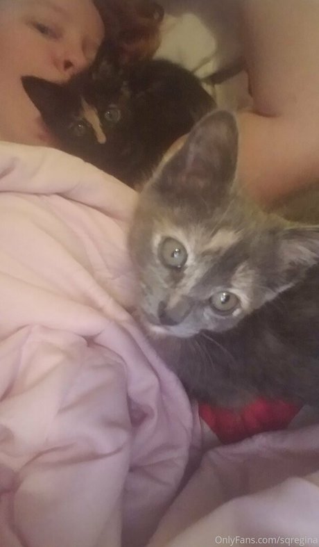 sqregina アートポルノスター 写真