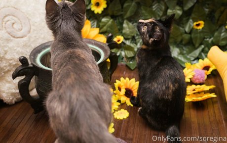 sqregina ホットなモデル 写真