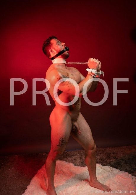 domluvsfree トップモデル 写真