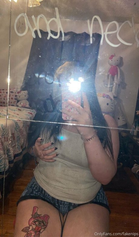 fakenips アートスター 画像