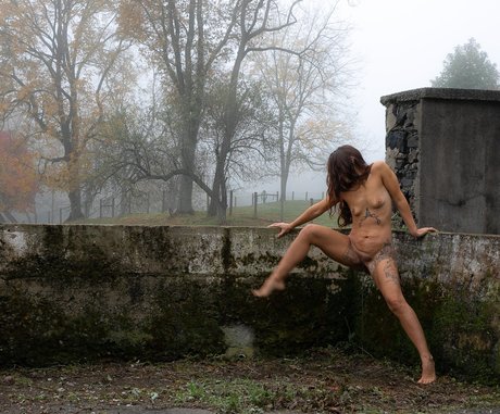 Lior Allay セックスポルノスター 写真