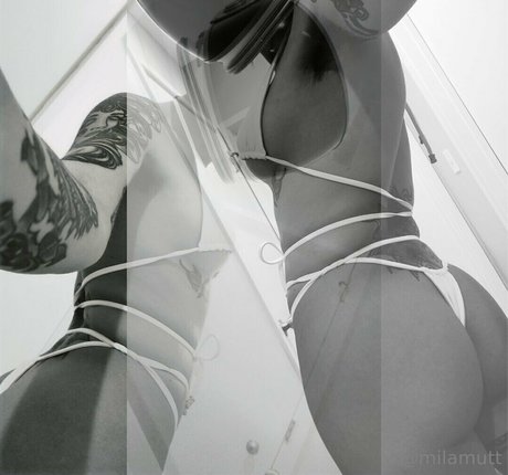 bimbodisco アートモデル 写真