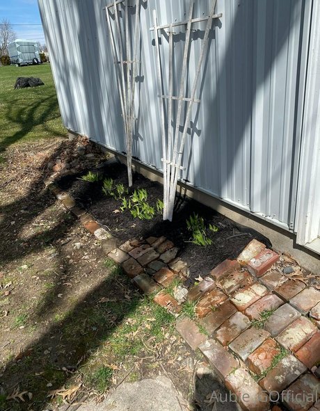 aubiegfree 無料モデル アーカイブ