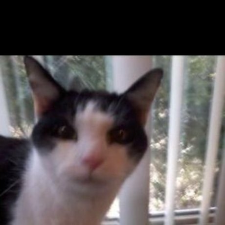 熟女オナニーオンリーファンズ 無料xxx 画像