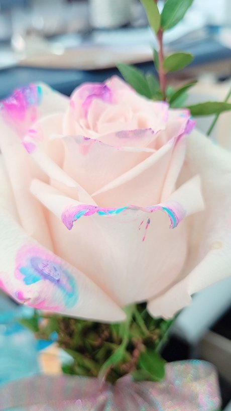 bigeddygurl セクシーなスター 画像