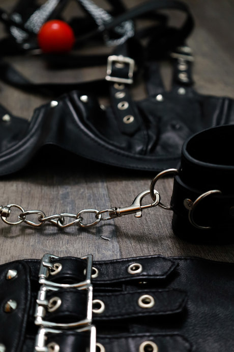 Miami Cola 最高のスター 写真