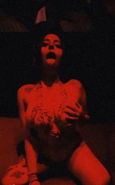 Mex_ アートスター 写真