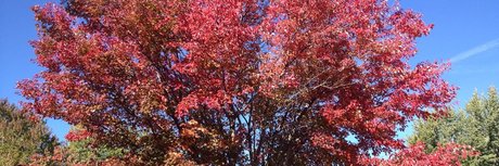 熟女の手コキオンリーファンズ 無料 画像