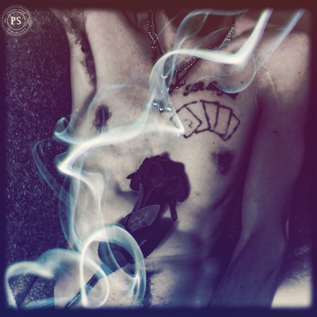 Mickey Foxx セックススター 画像