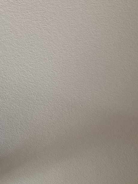 MichellexO アダルトモデル 写真