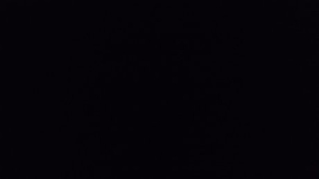 Jorgelina anahi 裸の女優 アーカイブ