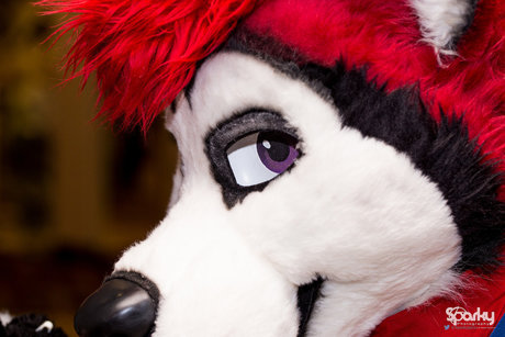 Cenny After Bark_ ヌードのポルノスター 写真