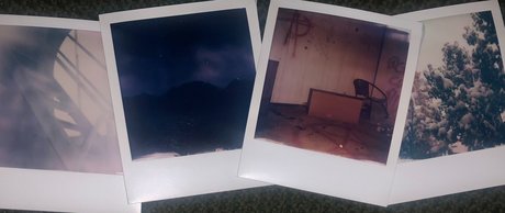 Miles Pike トップスター 写真