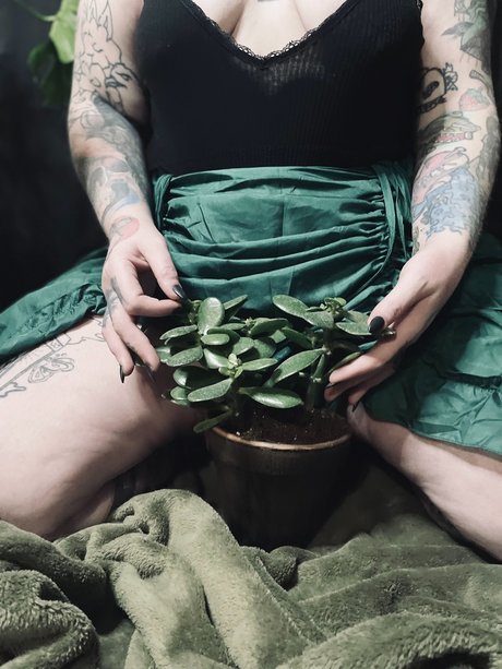 Miss Blu Rose ポルノスター xxx 写真