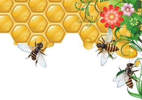 Anastasia Diavian ポルノスター 写真