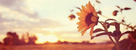 Sunnybunnysunshine スター xxx 写真