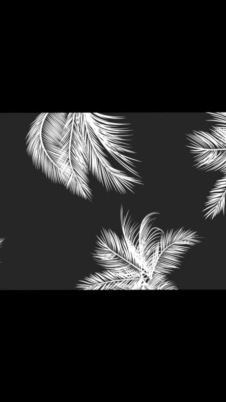 Mishamilu セックスポルノスター 写真