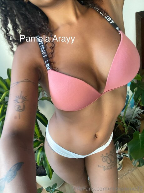 Pamela Aray_ 美しいスター 写真