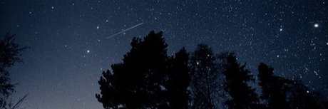 libre 裸のポルノスター 画像