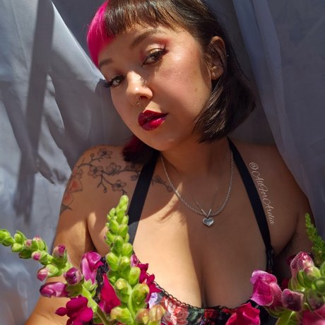 a r e l i a CLOSED FIND ME ON LF_ ポルノスター HD 画像