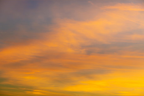 Jason Scott 最高のモデル 画像