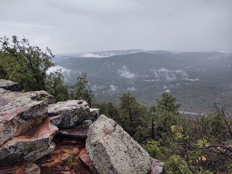 Rae Rich ヌード女優 画像