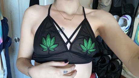 Katherine Hamby アートスター 写真