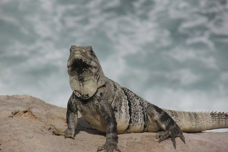 Gab 素敵なスター 画像