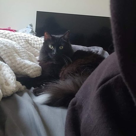 Camie Beilschmidt 高品質モデル ギャラリー