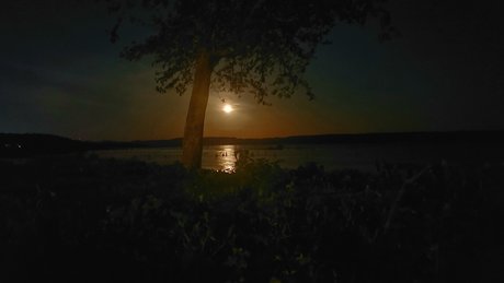 MrDreamCumTru81 美しいモデル 写真