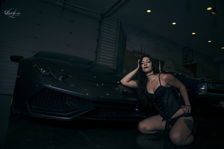 Horsepower Hunny 高品質スター 画像