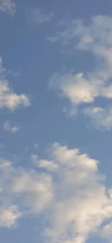 Ria Gold xxx女優 写真