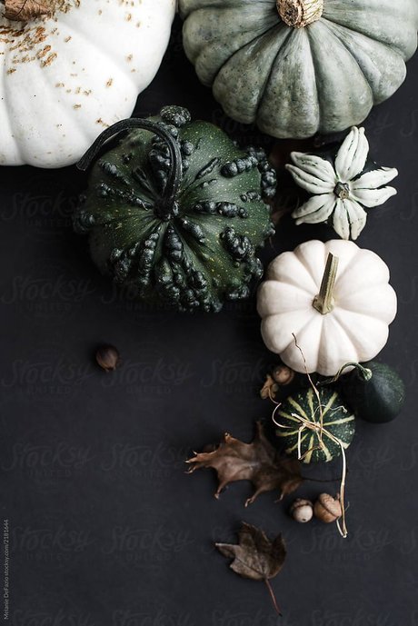 HoneyK セクシーモデル ギャラリー