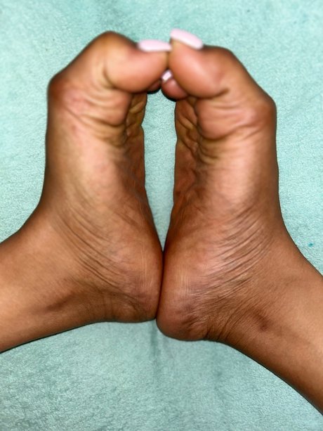 Ms bonyy HDスター 写真