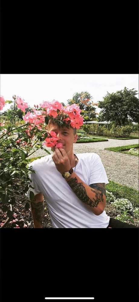 David Moore 裸のスター アーカイブ