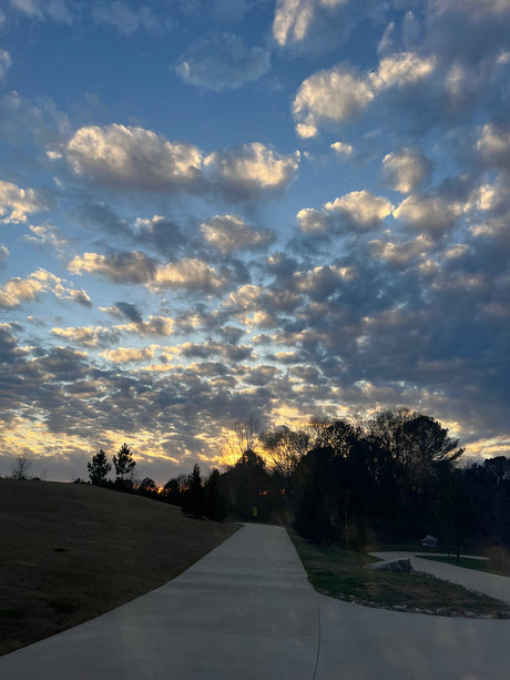 GuaranteemoneyBo 完璧なモデル ギャラリー