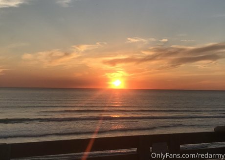 redarmy 独占モデル ギャラリー