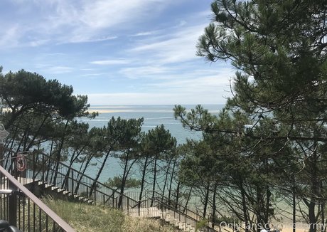 redarmy スター 裸 写真