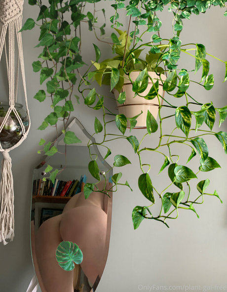 plantgalfree ポルノモデル 画像