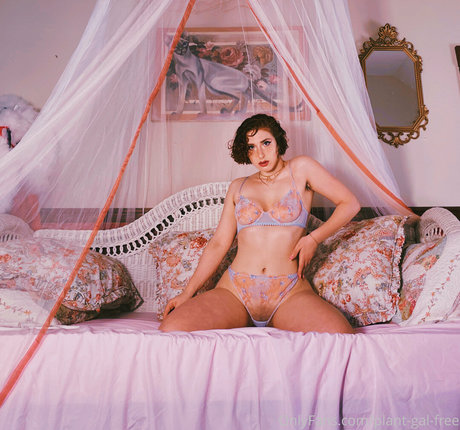 軍事オンリーファンズ エロ 画像