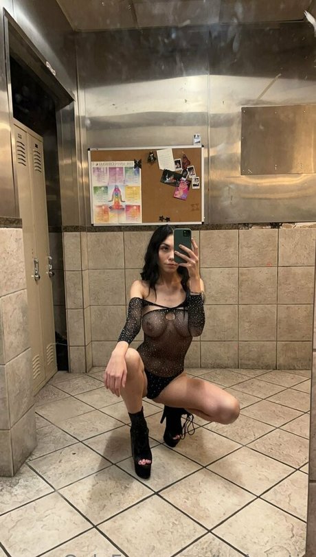 toriexotic ヌードモデル 写真