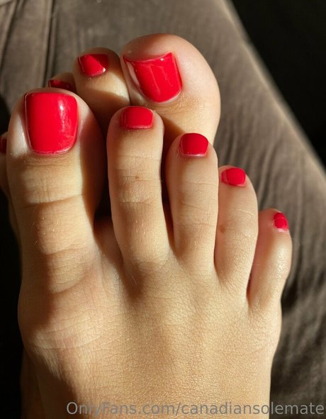 canadiansolemate トップスター ギャラリー