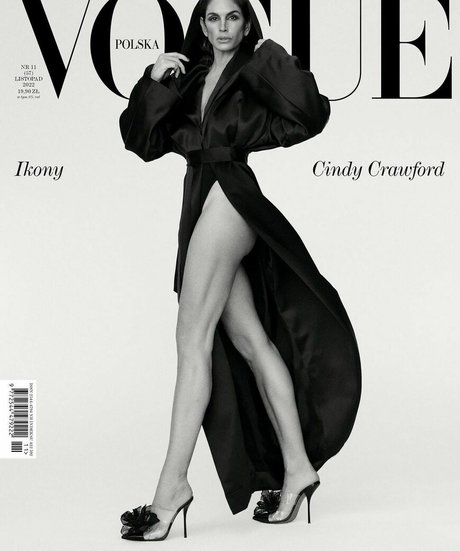 Cindy Crawford アートモデル 画像