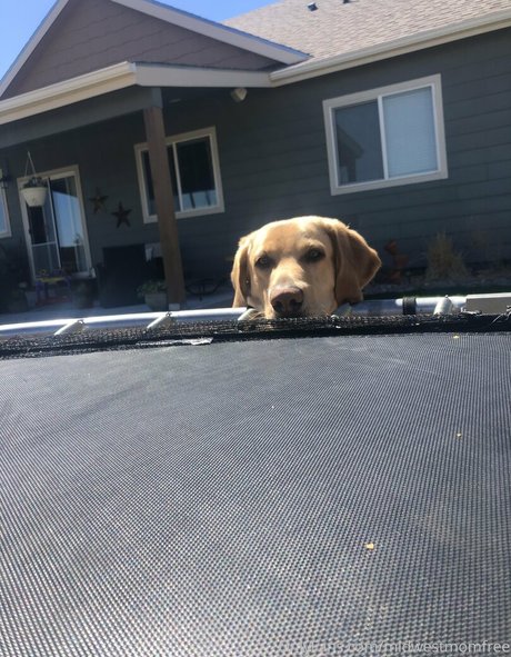 熟女の手コキオンリーファンズ 無料xxx 写真