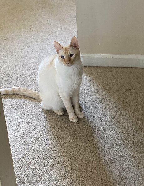 モンスターコックオンリーファンズ トップ 画像