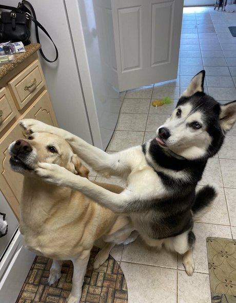 メコスジのオンリーファンズ 無料ヌード 画像