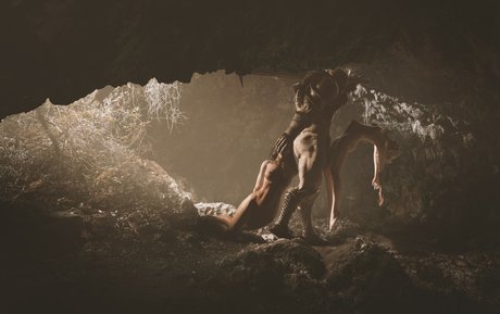 The Witcher 完璧なスター 写真