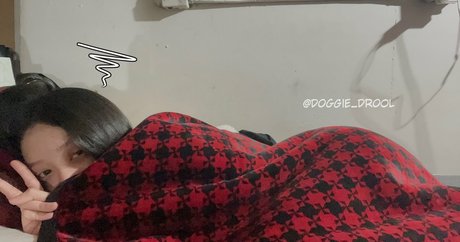 Doggie Drool 限定スター 写真